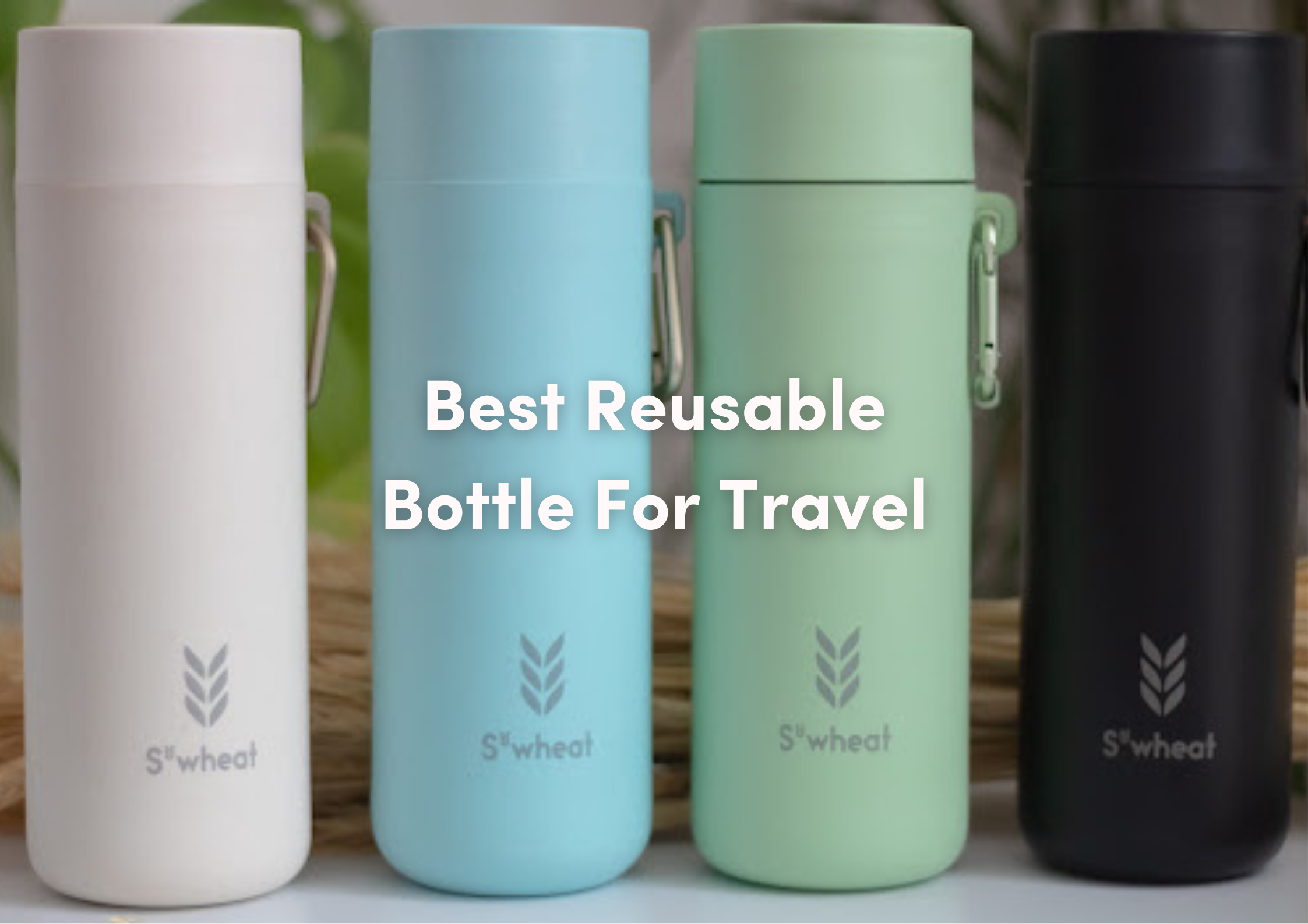 Best Reusable Water Bottle For Travel