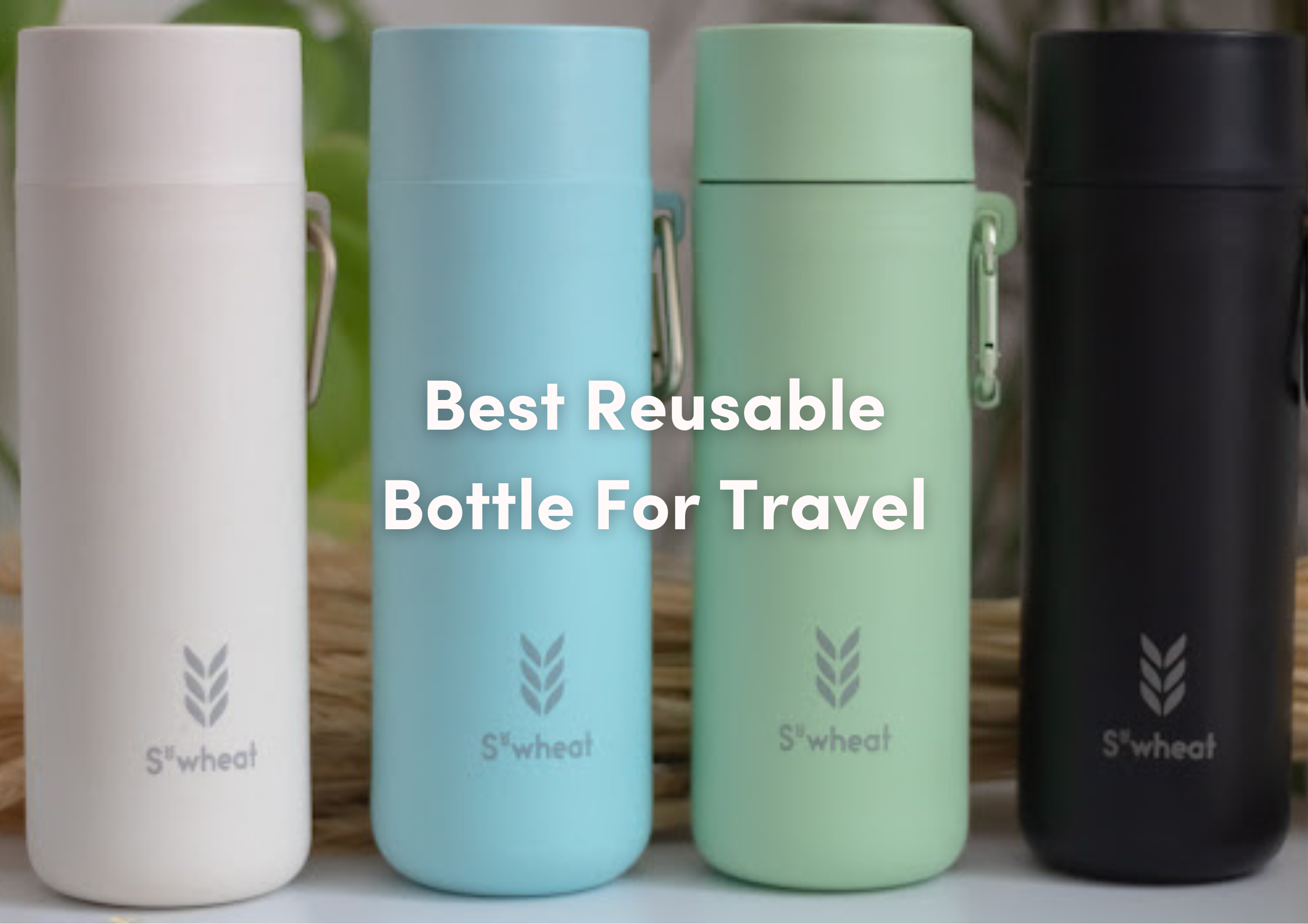 Best Water Bottles for Travel