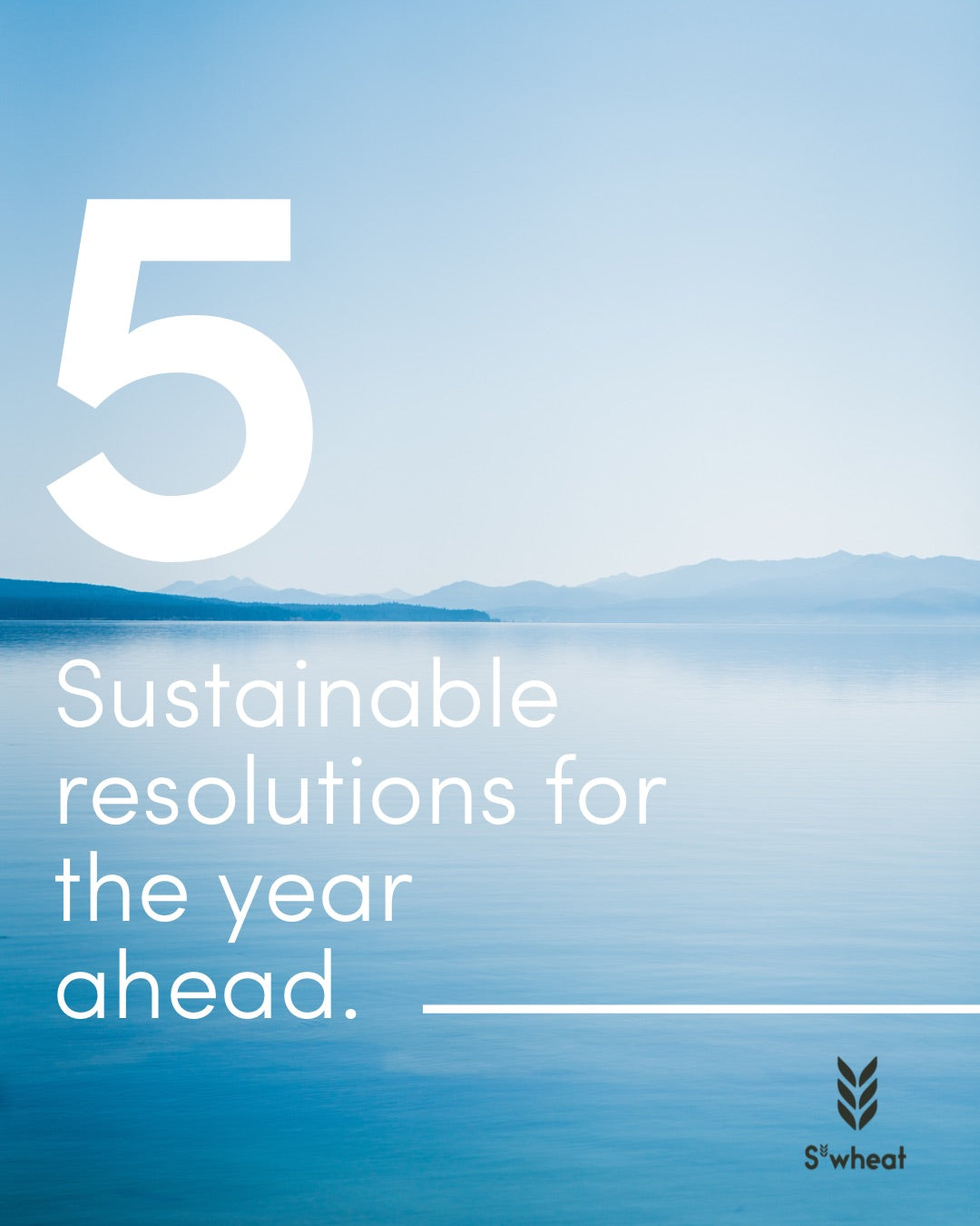 5 sustainable resolutions for 2022 best reviewed water bottle best water bottle for 2022